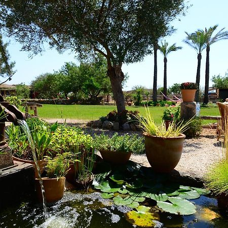 Agroturismo Finca Sant Blai Campos  Eksteriør bilde