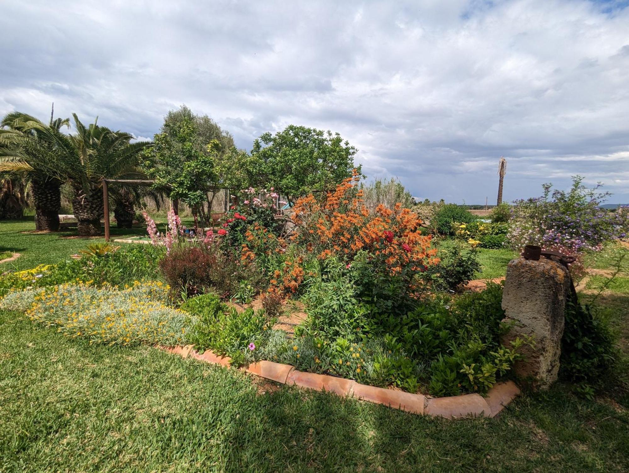 Agroturismo Finca Sant Blai Campos  Eksteriør bilde