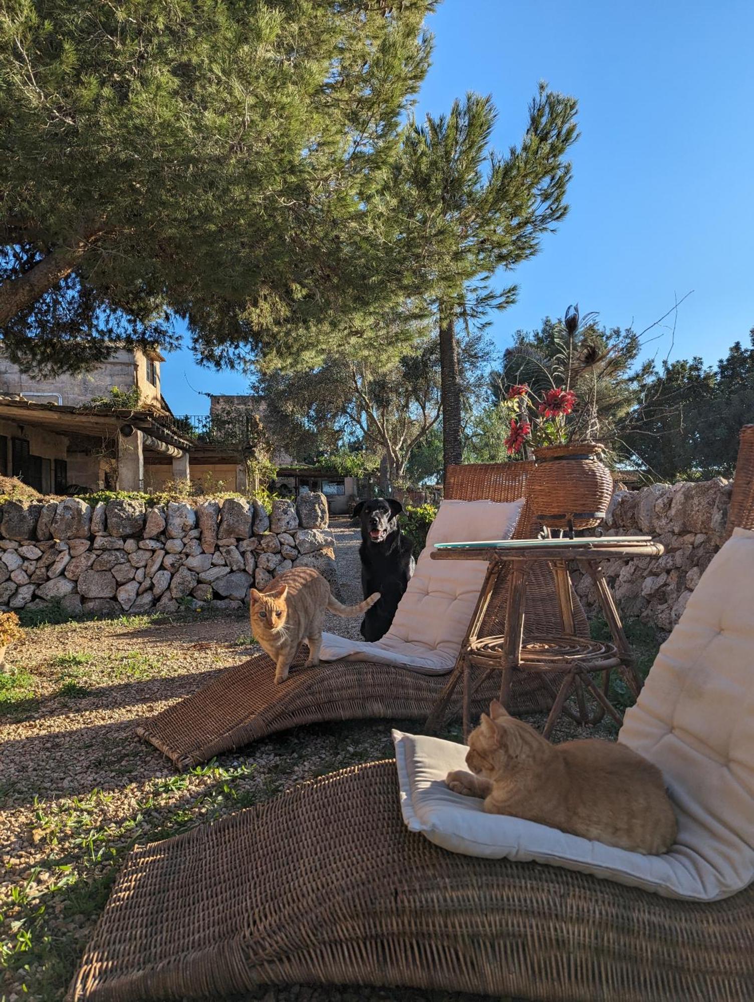 Agroturismo Finca Sant Blai Campos  Eksteriør bilde