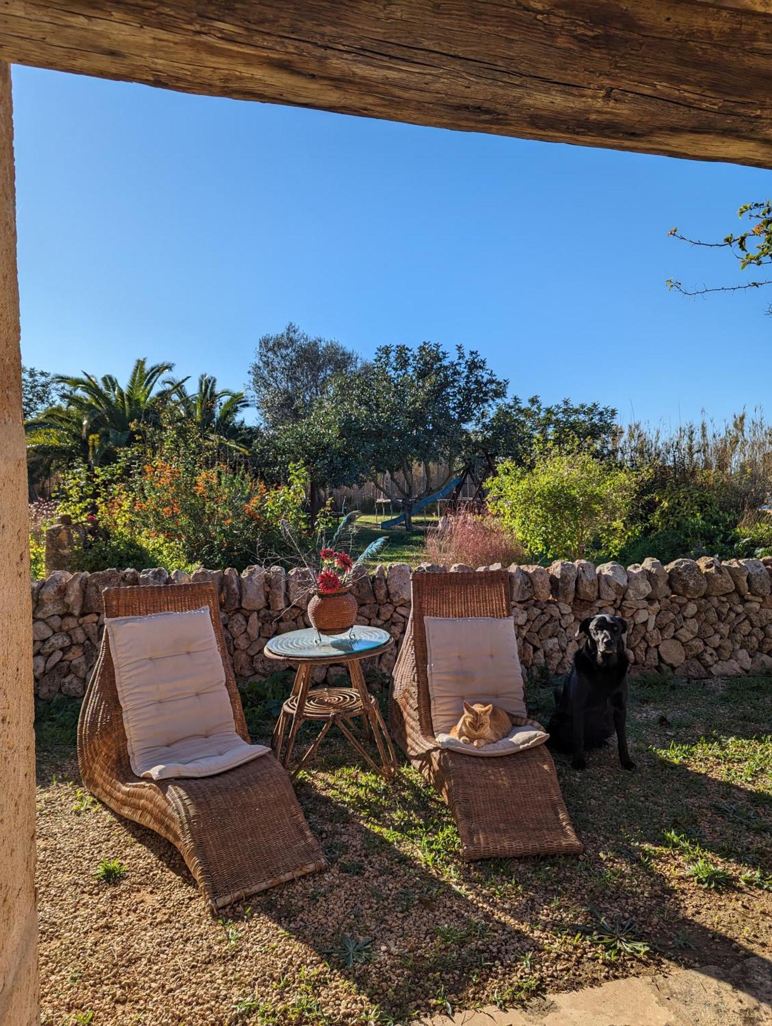 Agroturismo Finca Sant Blai Campos  Eksteriør bilde